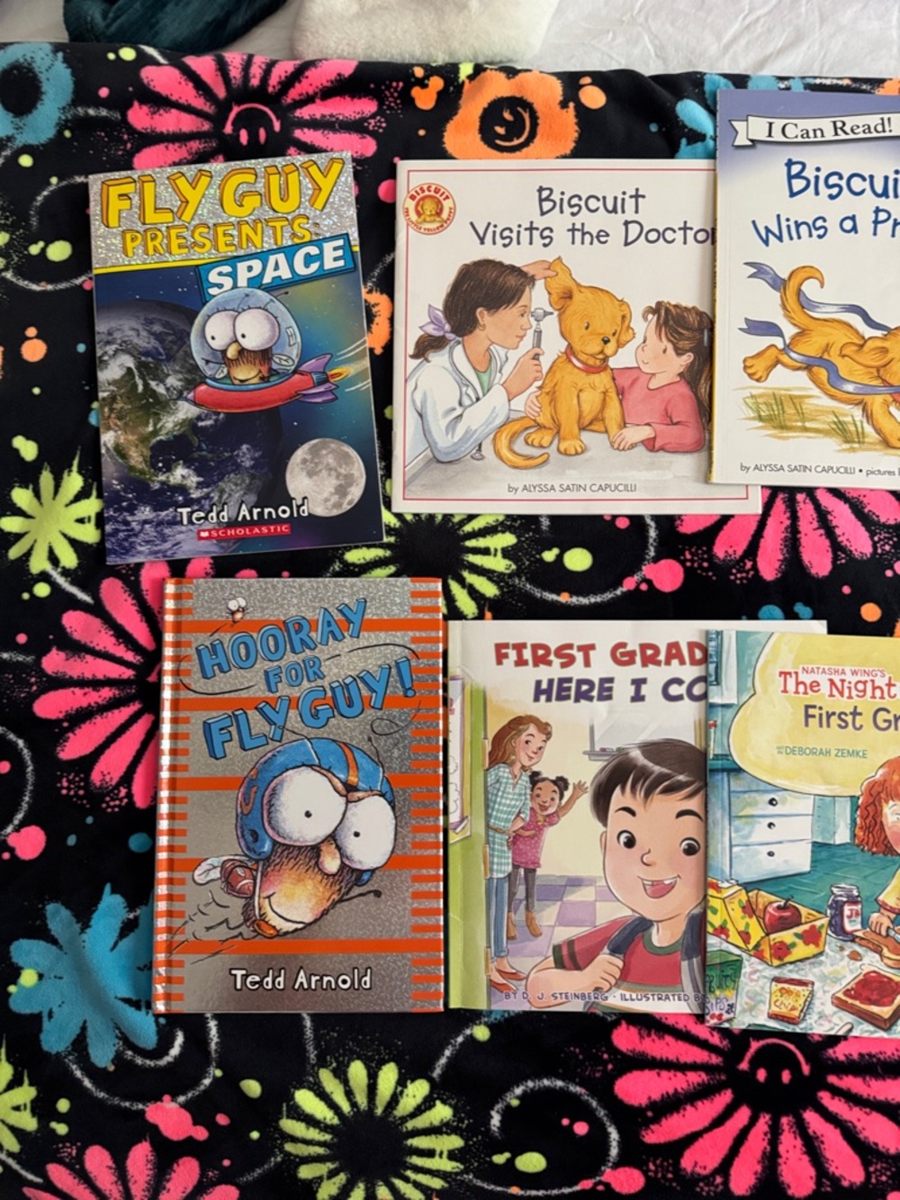 Fancy Nancy book bundle - Picture 2 of 4